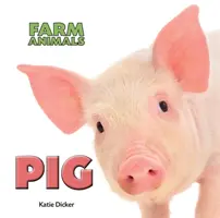 Prasiatko - Pig