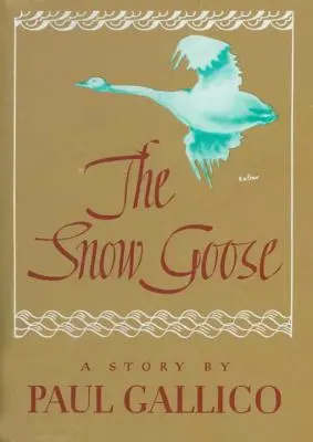 Snežná húska - Snow Goose