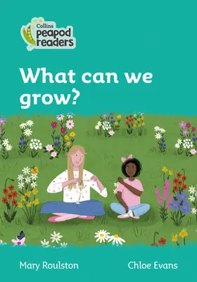 Úroveň 3 - Čo môžeme pestovať? - Level 3 - What can we grow?