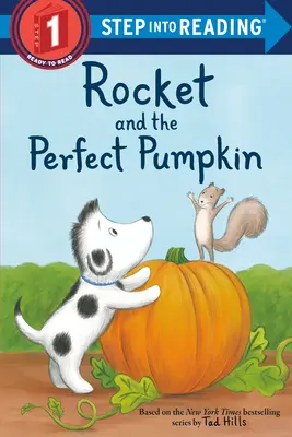 Raketa a dokonalá tekvica - Rocket and the Perfect Pumpkin