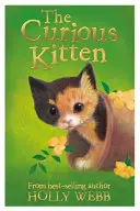 Zvedavé mačiatko - Curious Kitten