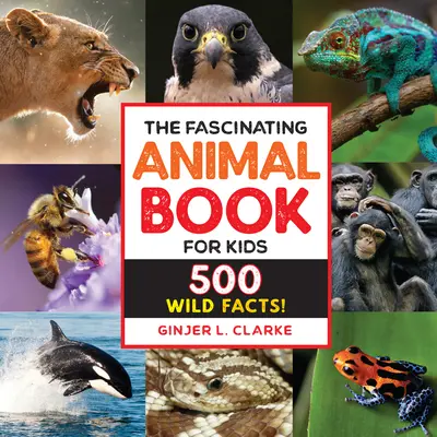 Fascinujúca kniha o zvieratách pre deti: 500 divokých faktov! - The Fascinating Animal Book for Kids: 500 Wild Facts!