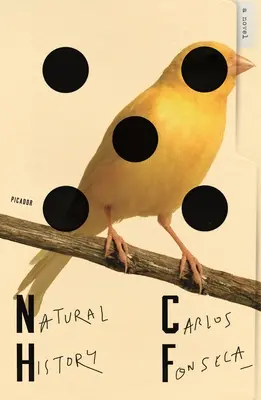Prírodné dejiny - Natural History