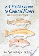 Terénny sprievodca pobrežnými rybami: Od Maine po Texas - A Field Guide to Coastal Fishes: From Maine to Texas