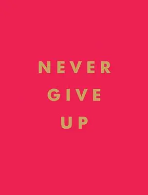 Nikdy sa nevzdávaj - Never Give Up