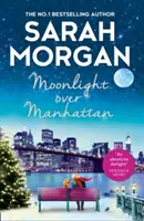 Mesačný svit nad Manhattanom - Moonlight Over Manhattan