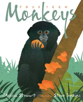 Štrnásť opíc: A Rain Forest Rhyme - Fourteen Monkeys: A Rain Forest Rhyme