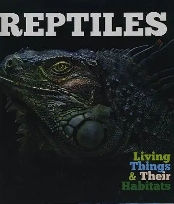 Plazy - Reptiles