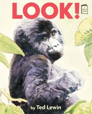 Pozrite sa! - Look!
