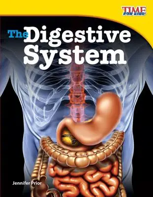 Tráviaca sústava - The Digestive System