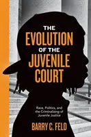 Vývoj súdu pre mladistvých: Rasa, politika a kriminalizácia súdnictva pre mladistvých - The Evolution of the Juvenile Court: Race, Politics, and the Criminalizing of Juvenile Justice