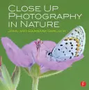 Fotografovanie zblízka v prírode - Close Up Photography in Nature