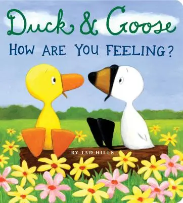 Kačica a hus, Ako sa cítiš? - Duck & Goose, How Are You Feeling?