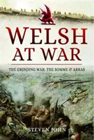 Walesania vo vojne - Drvivá vojna: Somma a Arras - Welsh at War - The Grinding War: The Somme and Arras