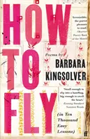 Ako lietať - (v desiatich tisícoch jednoduchých lekcií) - How to Fly - (in Ten Thousand Easy Lessons)