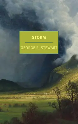 Búrka - Storm