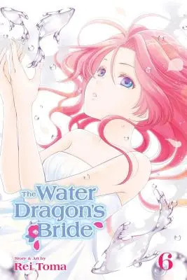 Nevesta vodného draka, zv. 6 - The Water Dragon's Bride, Vol. 6