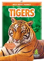 Tigre - Tigers