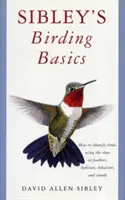 Sibleyho základy vtáctva - Sibley's Birding Basics