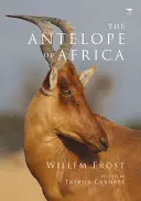 Antilopa africká - The Antelope of Africa