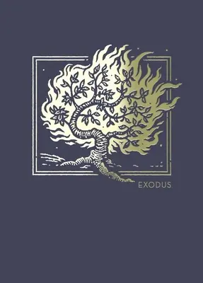 Net Abide Bible Journal - Exodus, Paperback, Comfort Print: Svätá Biblia - Net Abide Bible Journal - Exodus, Paperback, Comfort Print: Holy Bible