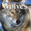 Skúmanie sveta vlkov - Exploring the World of Wolves