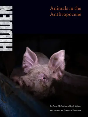 Skryté: Zvieratá v antropocéne - Hidden: Animals in the Anthropocene