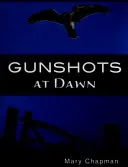 Výstrely za úsvitu (Ostré odtiene) - Gunshots At Dawn  (Sharp Shades)