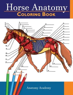 Anatómia koní - omaľovánky: Neuveriteľne podrobný autotest Anatómia koní Farebný zošit Ideálny darček pre študentov veterinárnej medicíny, milovníkov koní a dospelých - Horse Anatomy Coloring Book: Incredibly Detailed Self-Test Equine Anatomy Color workbook Perfect Gift for Veterinary Students, Horse Lovers & Adult