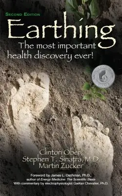 Uzemňovanie: Najdôležitejší objav v oblasti zdravia vôbec! (druhé vydanie) - Earthing: The Most Important Health Discovery Ever! (Second Edition)