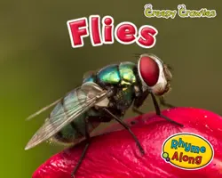 Strašidelné plazy Balenie B z 5 - Creepy Crawlies Pack B of 5