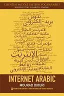 Internetová arabčina [s CD (audio)] - Internet Arabic [With CD (Audio)]