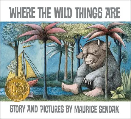 Kde sú divočiny - Where the Wild Things Are