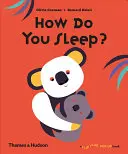 Ako spíš? - How Do You Sleep?