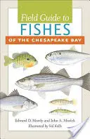 Terénny sprievodca po rybách zálivu Chesapeake - Field Guide to Fishes of the Chesapeake Bay