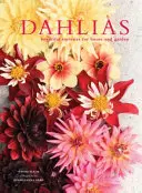 Dahlias - Krásne odrody pre dom a záhradu - Dahlias - Beautiful varieties for home and garden