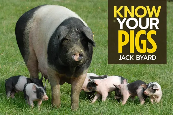 Poznajte svoje ošípané - Know Your Pigs