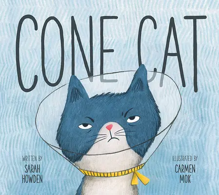 Kocúr v kuželi - Cone Cat