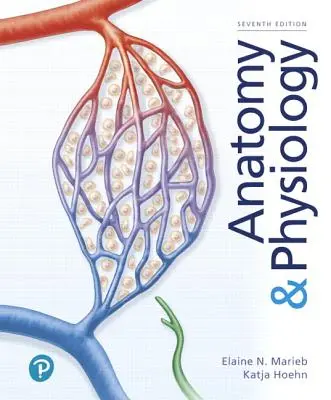 Anatómia a fyziológia človeka - Anatomy & Physiology