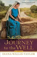 Cesta k studni - Journey to the Well