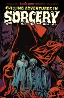 Mrazivé dobrodružstvá v čarodejníctve - Chilling Adventures in Sorcery