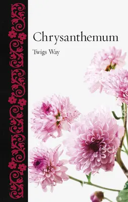 Chryzantémy - Chrysanthemum