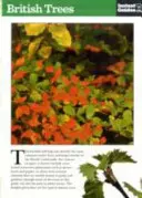 Britské stromy - okamžitý sprievodca - British Trees - The Instant Guide