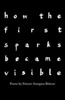 Ako sa zviditeľnili prvé iskry - how the first sparks became visible