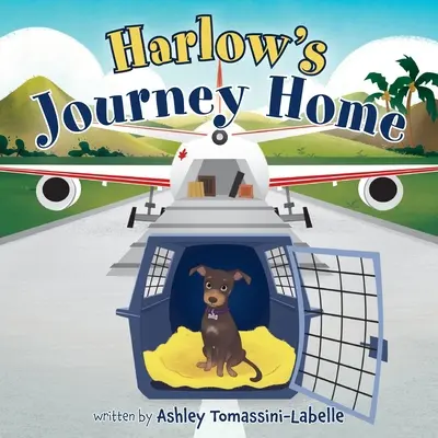 Harlowova cesta domov - Harlow's Journey Home