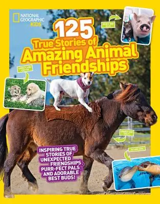 125 skutočných príbehov o úžasných priateľstvách so zvieratami - 125 True Stories of Amazing Animal Friendships