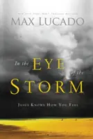 V oku búrky: Ježiš vie, ako sa cítiš - In the Eye of the Storm: Jesus Knows How You Feel