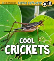 Chladné cvrčky - Cool Crickets