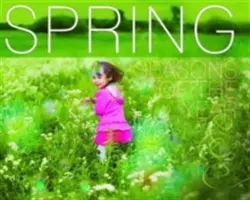 Jar - Spring