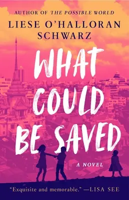 Čo by sa dalo zachrániť - What Could Be Saved